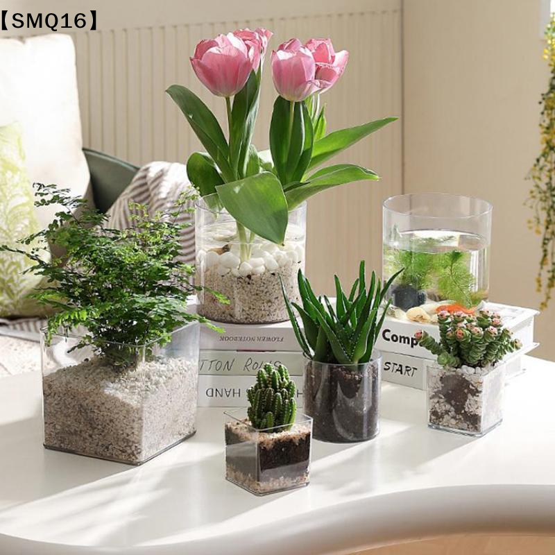 Bonsai Garden Nursery - Vasos de acrílico transparente quadrados/redondos para