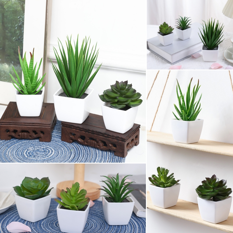 Bonsai Garden Mini - (Um conjunto de 3 peças) mini