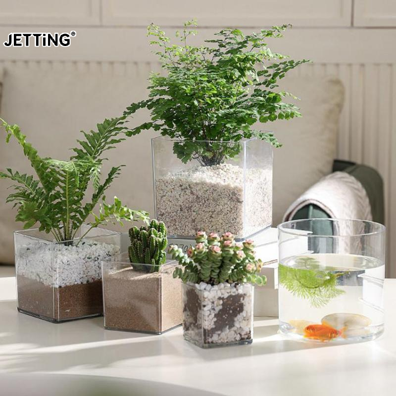 Bonsai Garden Nursery - Vasos de acrílico transparente quadrados/redondos para