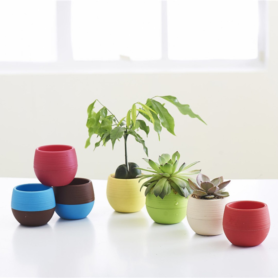 Bonsai Garden Nursery - Jardinagem mini vasos de flores de