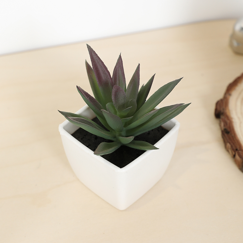 Bonsai Garden Mini - Mini copo de fada suculenta artificial