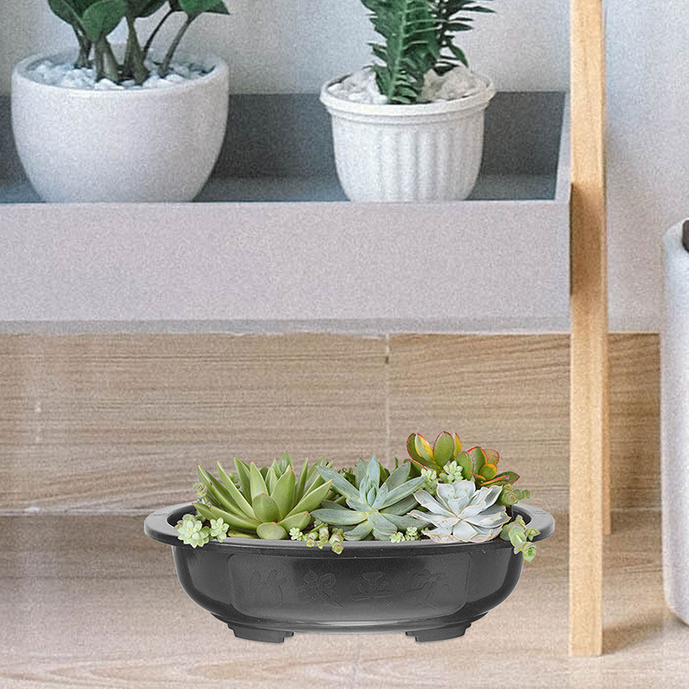 Conjunto de 3 Vasos de Bonsai  - Bonsai Garden Nursery avaliação e preço
