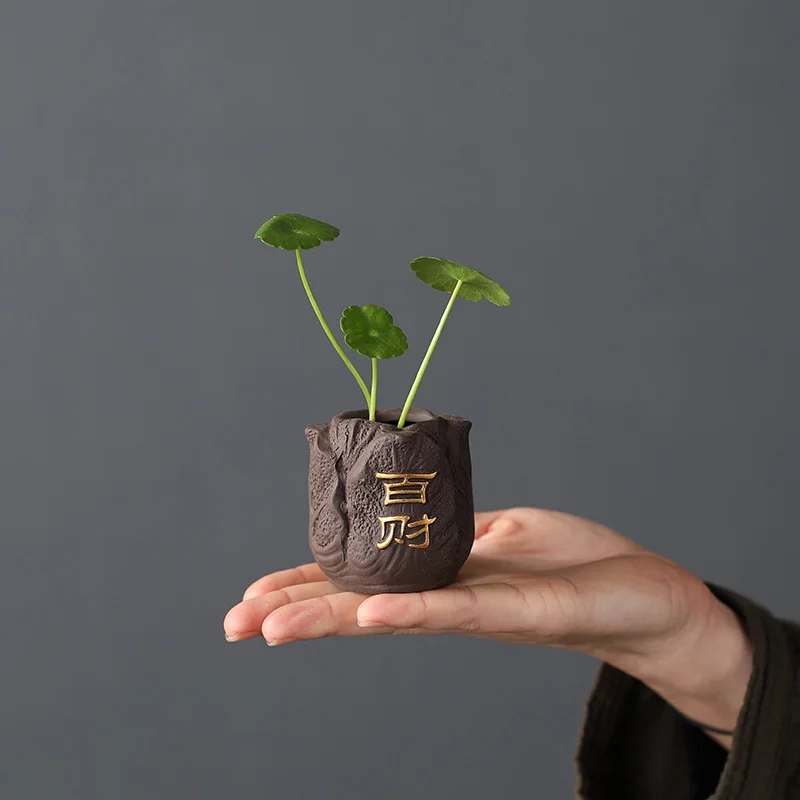 Criativo roxo argila chá pet p - Bonsai Garden Mini avaliação e preço