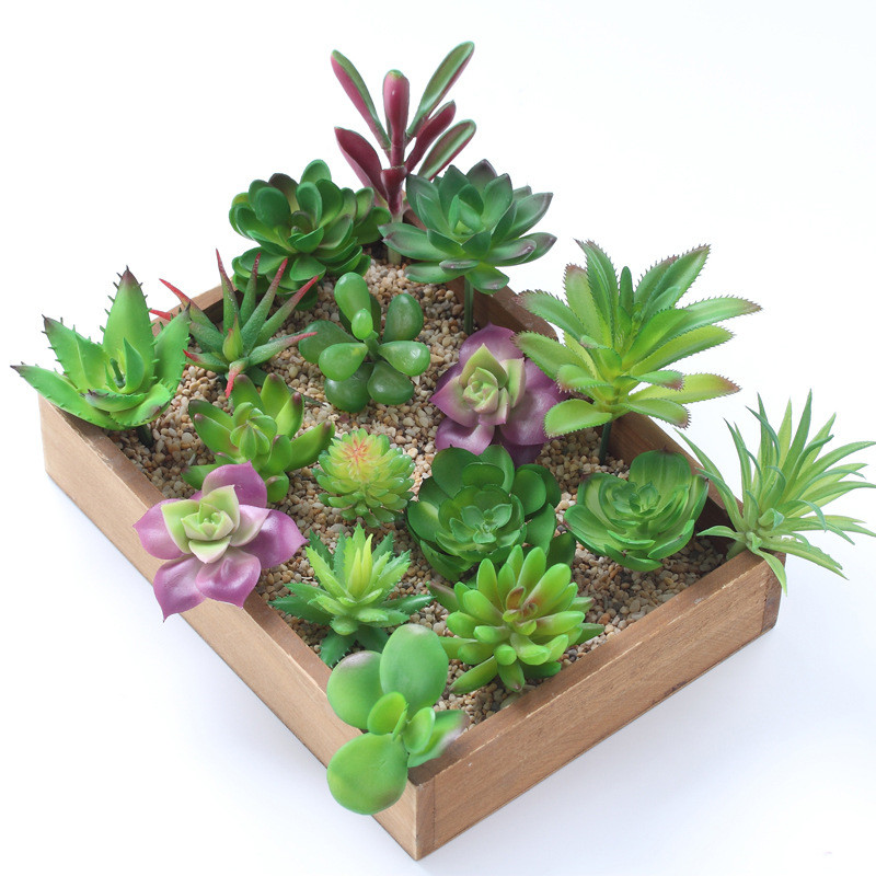 Plantas suculentas artificiais - Bonsai Garden Mini avaliação e preço
