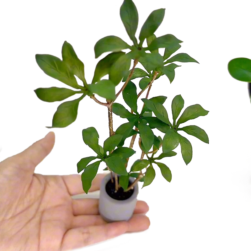 Dollhouse Miniature Modelo de  - Bonsai Garden For Home avaliação e preço