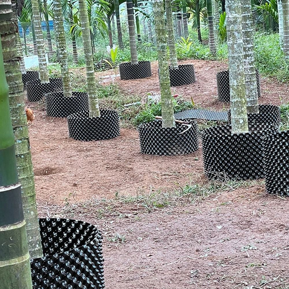 1 Conjunto Durável de Bandejas - Bonsai Garden Nursery avaliação e preço