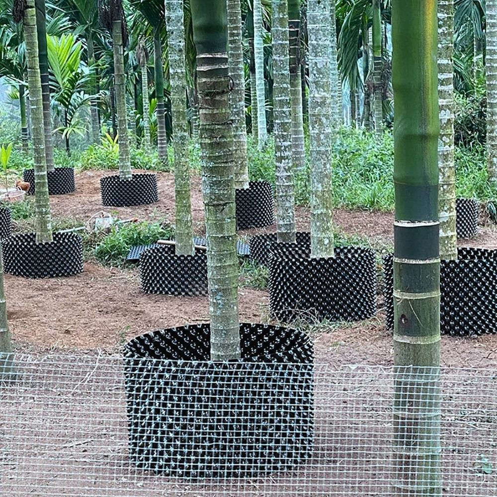 1 Conjunto Durável de Bandejas - Bonsai Garden Nursery avaliação e preço