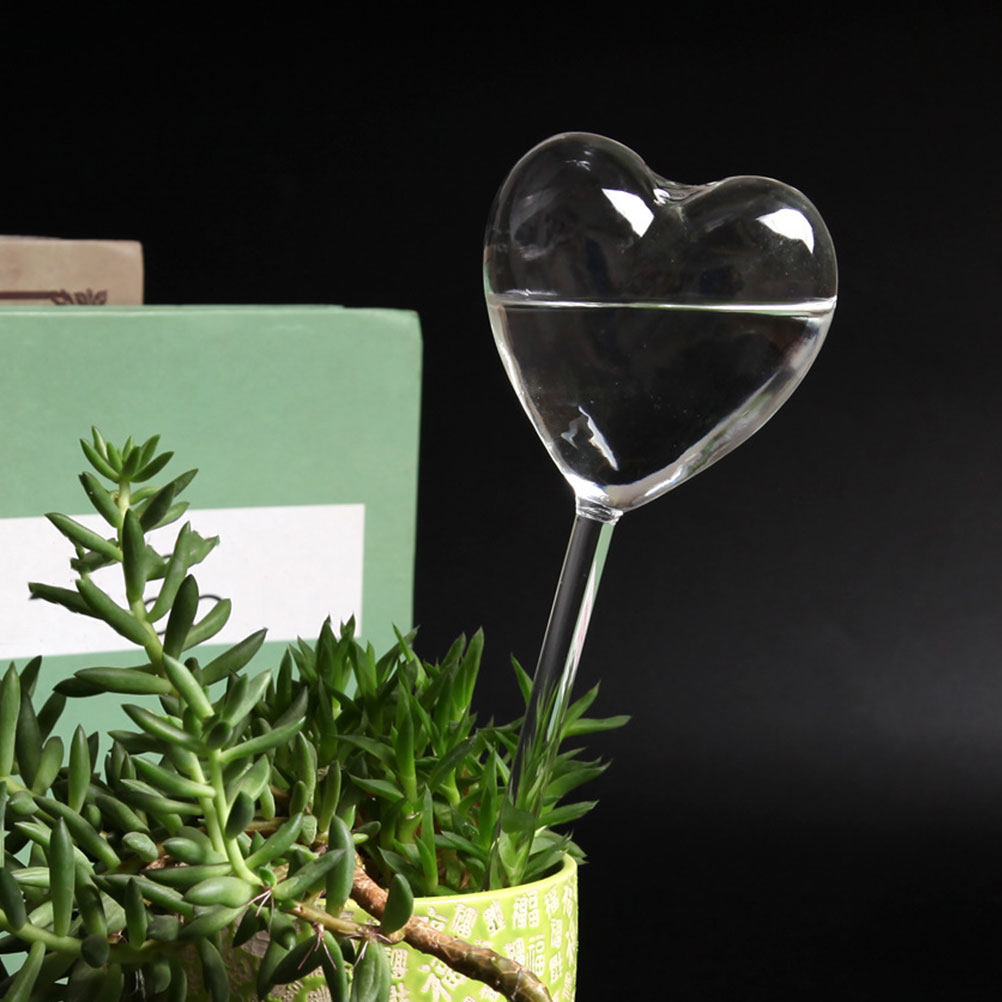 Conjunto de 3 Globos de Vidro  - Bonsai Garden For Home avaliação e preço