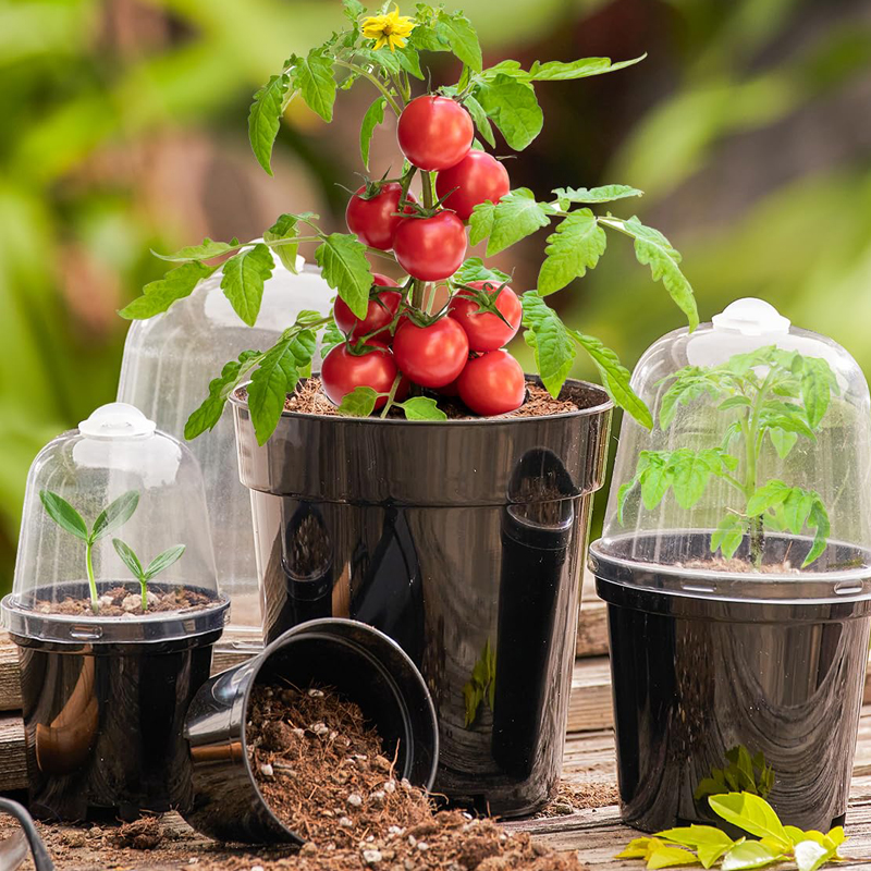 Vasos de Viveiro, Vasos de Flo - Bonsai Garden Nursery avaliação e preço