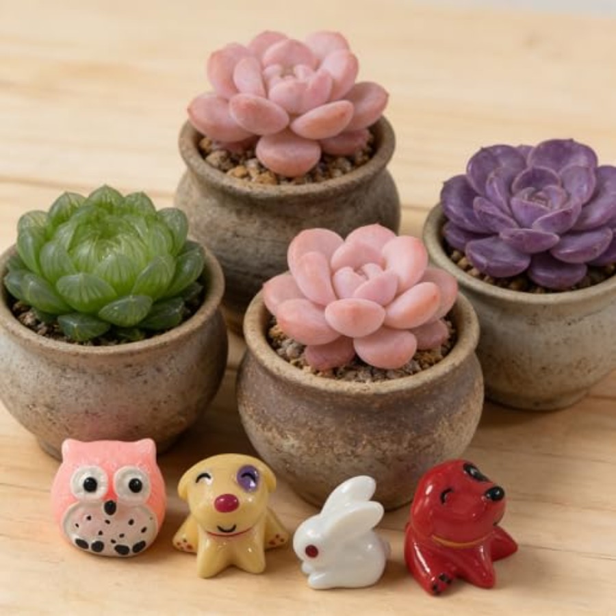 Kit de Ornamentos em Miniatura - Bonsai Garden Japan avaliação e preço