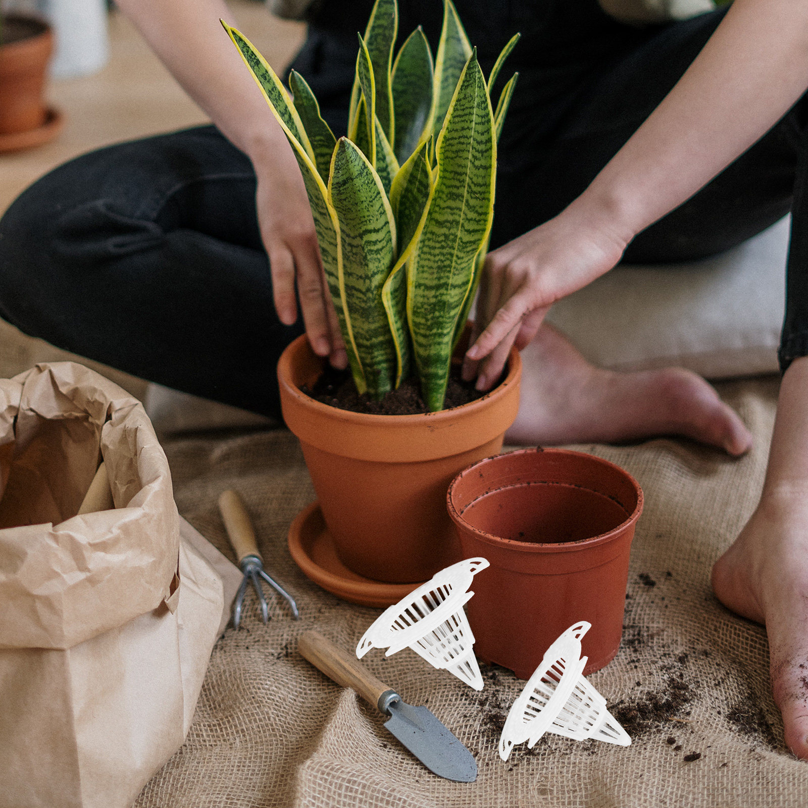 20 Peças de Almofadas de Malha - Bonsai Garden For Home avaliação e preço