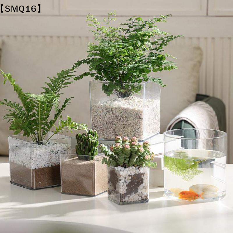 Vasos de acrílico transparente - Bonsai Garden Nursery avaliação e preço