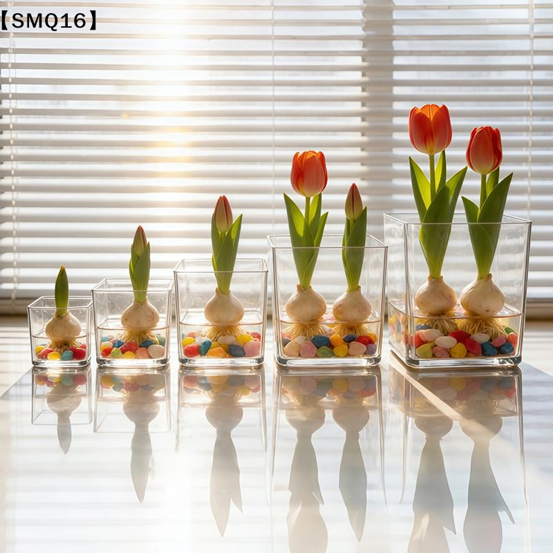 Vasos de acrílico transparente - Bonsai Garden Nursery avaliação e preço