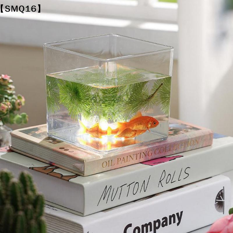 Vasos de acrílico transparente - Bonsai Garden Nursery avaliação e preço