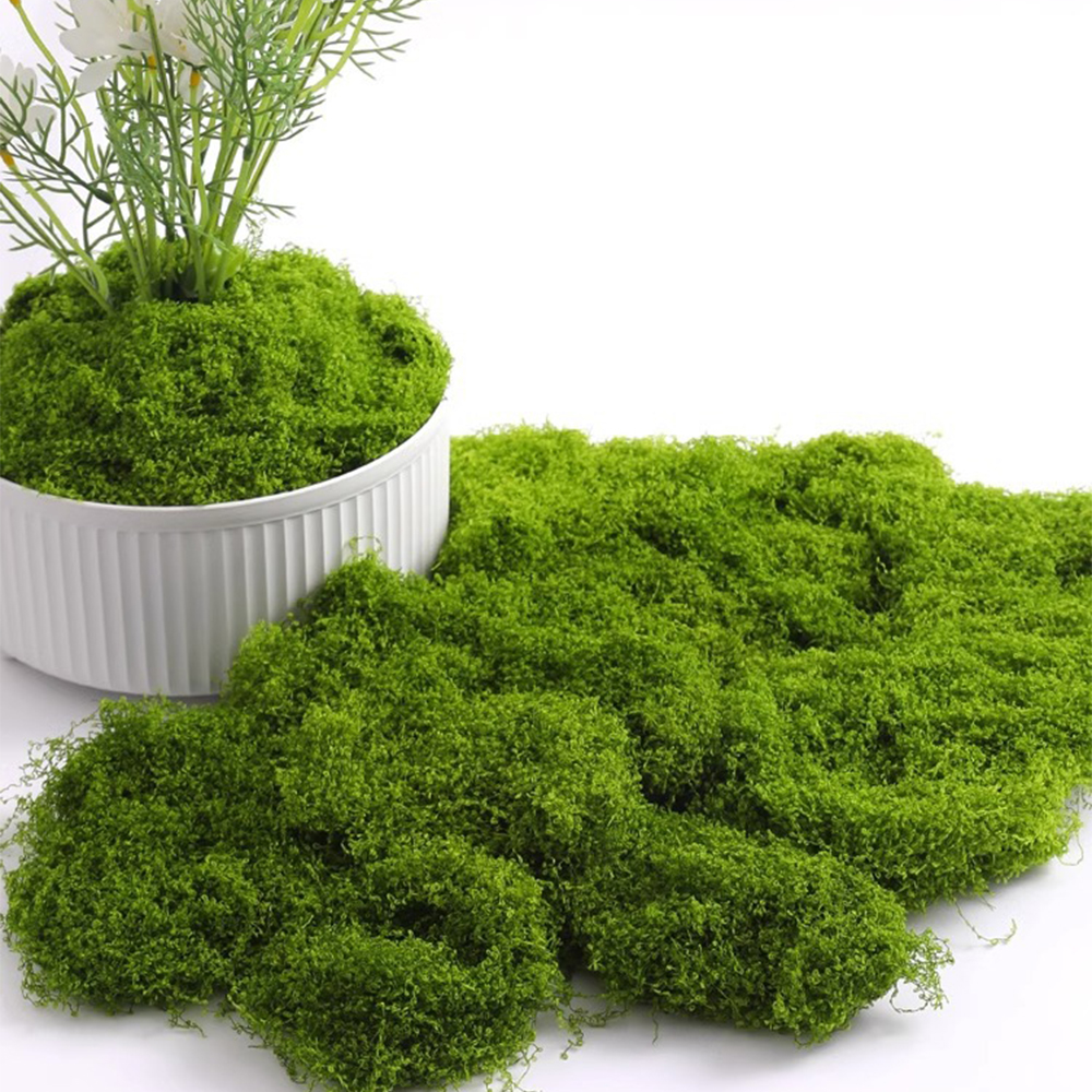 Musgo da Vida Eterna 100/200/5 - Bonsai Garden Mini avaliação e preço
