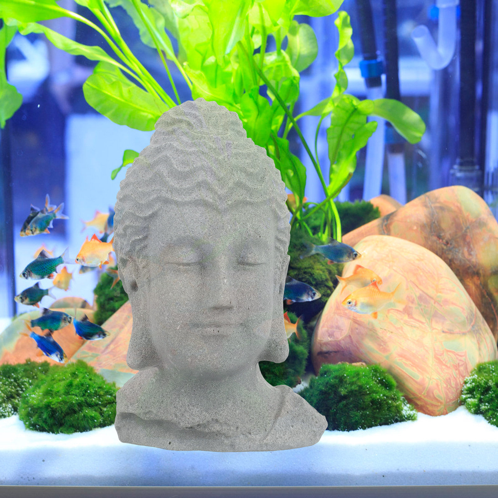 Estátua de Buda Meditando para - Bonsai Garden For Home avaliação e preço