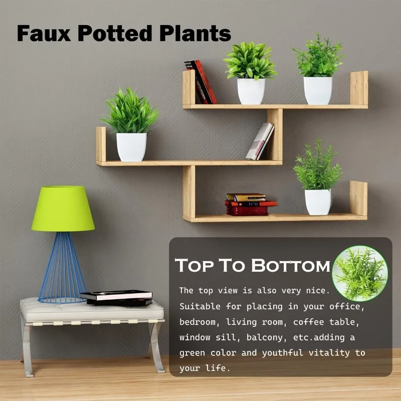 Atacado OEM/ODM Mini Plantas A - Bonsai Garden Mini avaliação e preço