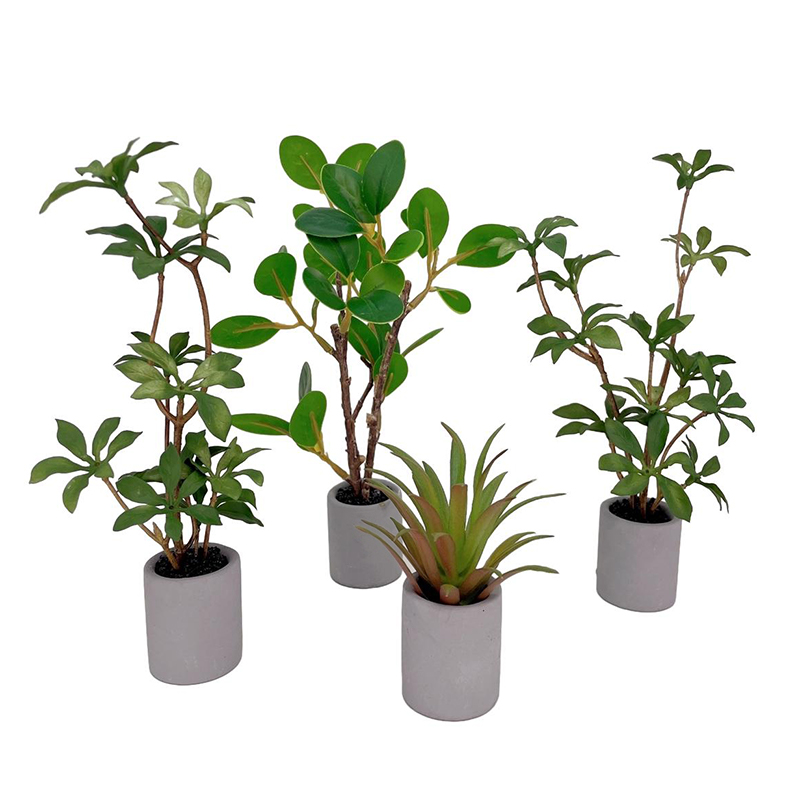 1:6 casa de bonecas em miniatu - Bonsai Garden For Home avaliação e preço