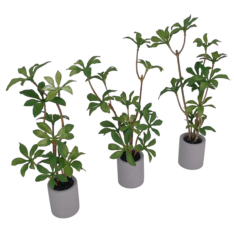 1:6 casa de bonecas em miniatu - Bonsai Garden For Home avaliação e preço