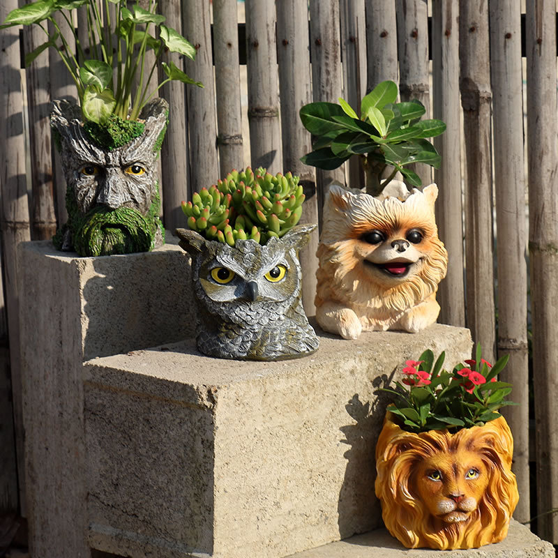 Vaso de animal para casa, plan - Bonsai Garden Nursery avaliação e preço