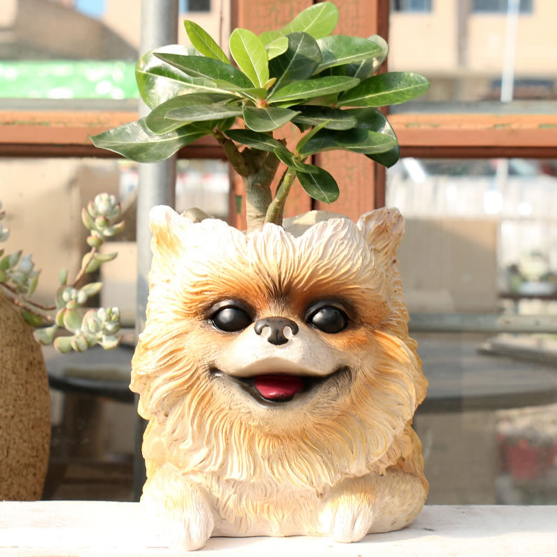 Vaso de animal para casa, plan - Bonsai Garden Nursery avaliação e preço