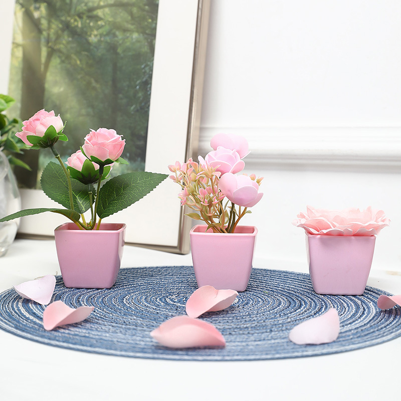 (Um conjunto de 3 peças) mini  - Bonsai Garden Mini avaliação e preço
