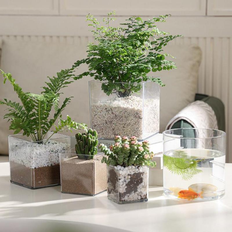 Vasos de acrílico transparente - Bonsai Garden Nursery avaliação e preço