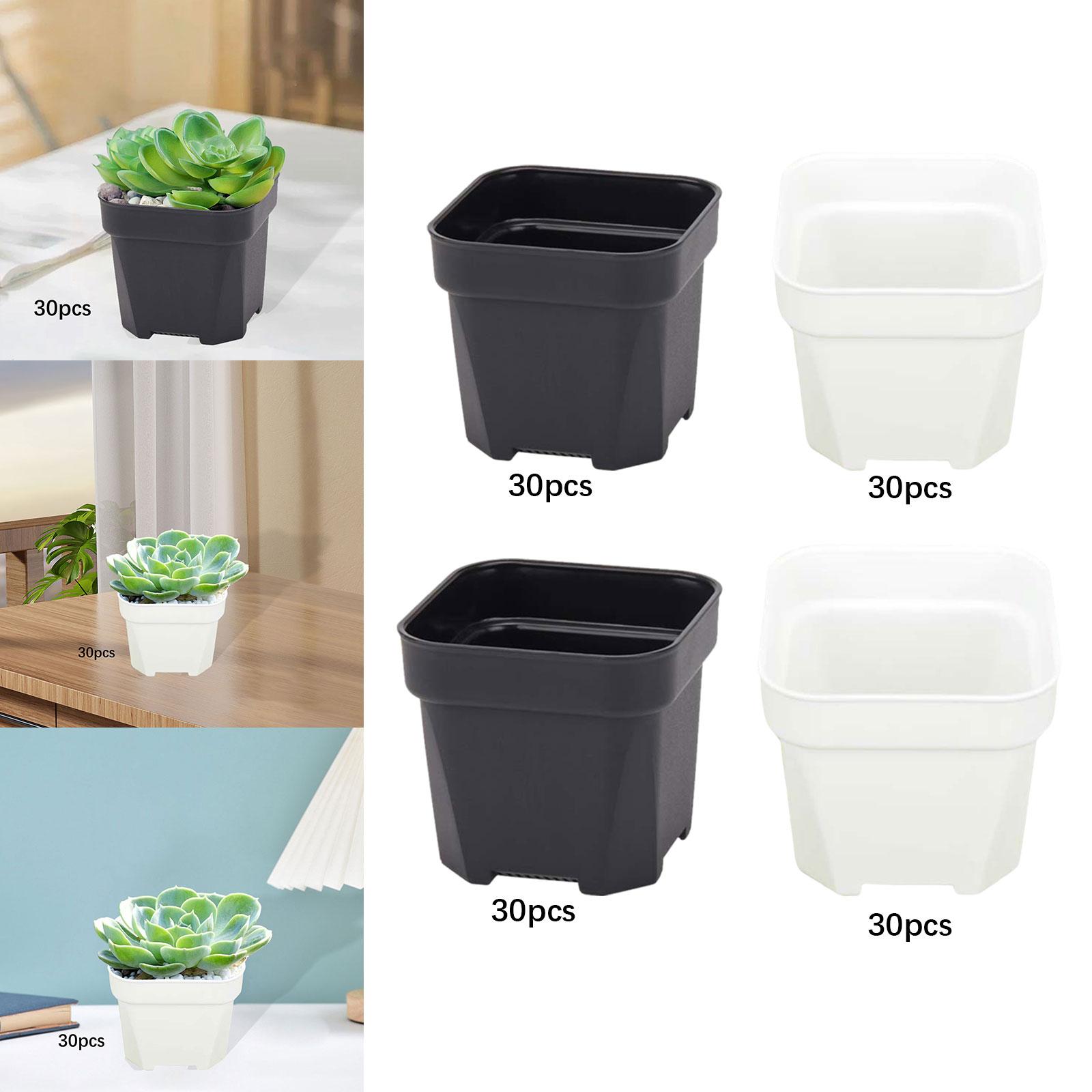 30x Vasos de viveiro para plan - Bonsai Garden Nursery avaliação e preço