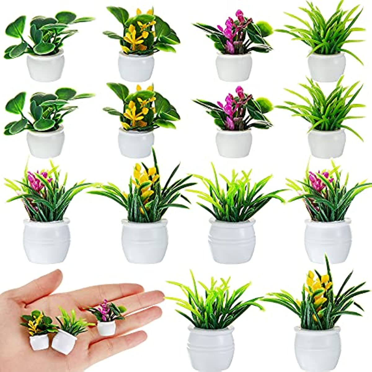 Planta de casa de bonecas, pla - Bonsai Garden Mini avaliação e preço