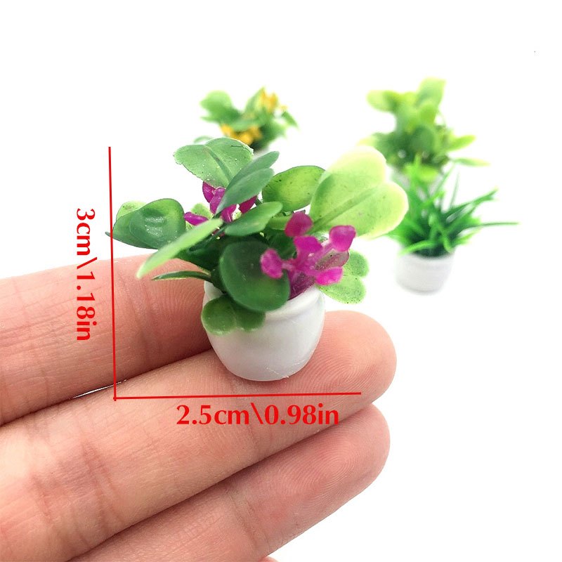 Planta de casa de bonecas, pla - Bonsai Garden Mini avaliação e preço