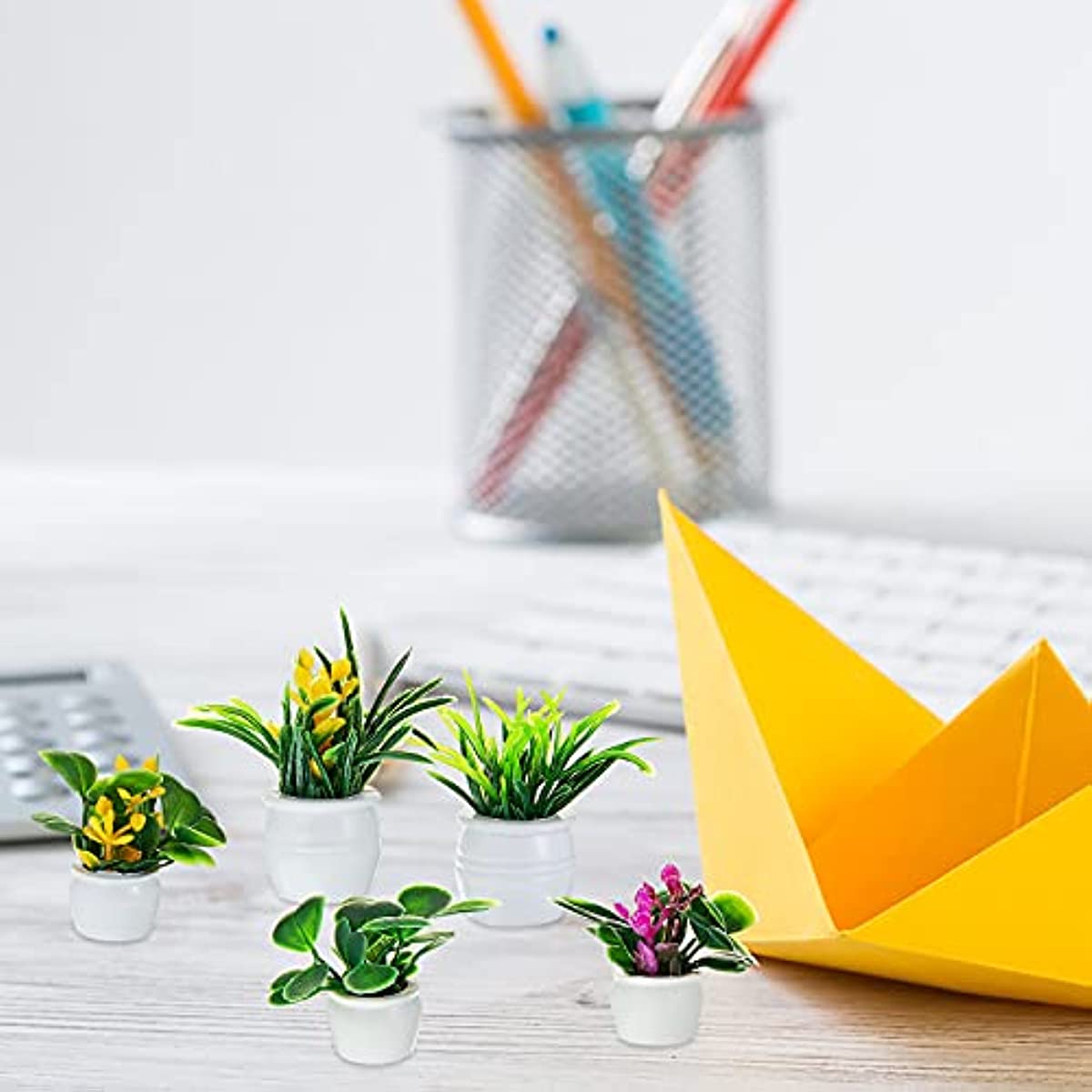 Planta de casa de bonecas, pla - Bonsai Garden Mini avaliação e preço