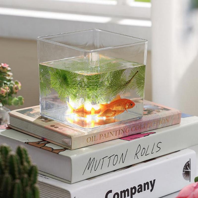 Vasos de acrílico transparente - Bonsai Garden Nursery avaliação e preço