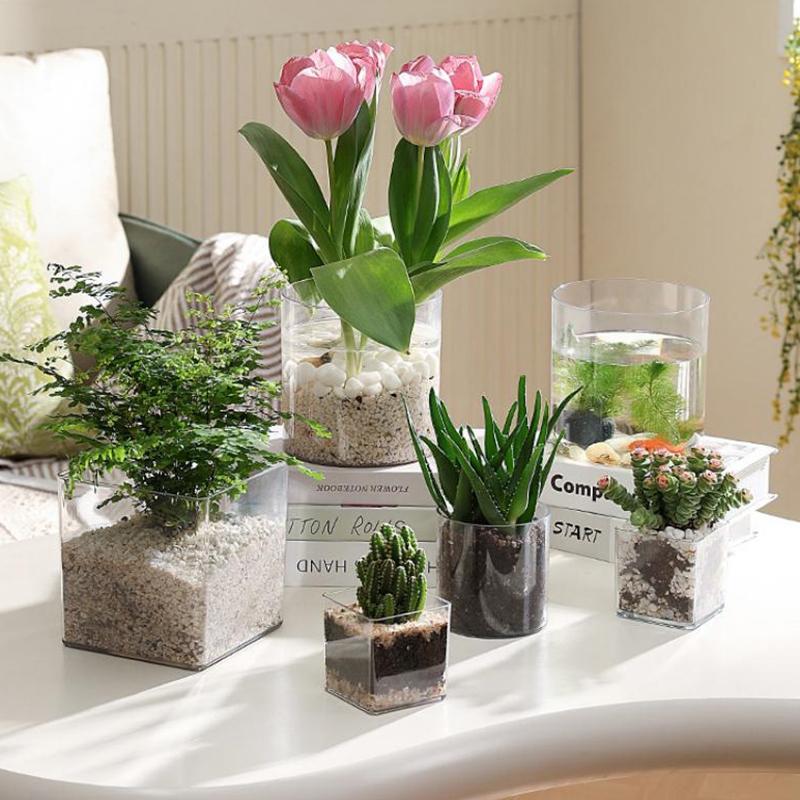 Vasos de Plantas Transparentes - Bonsai Garden Nursery avaliação e preço