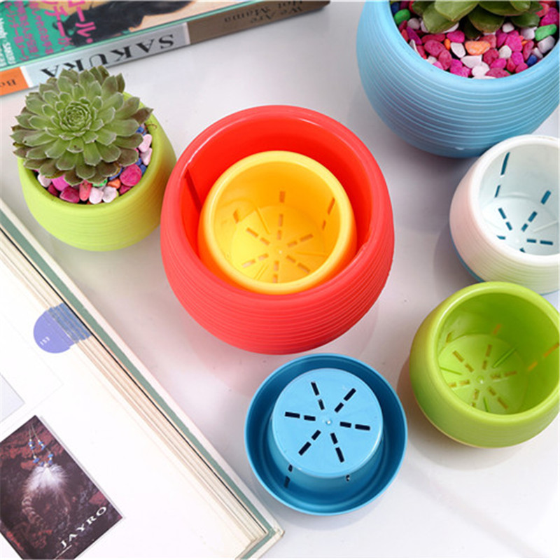 Jardinagem mini vasos de flore - Bonsai Garden Nursery avaliação e preço