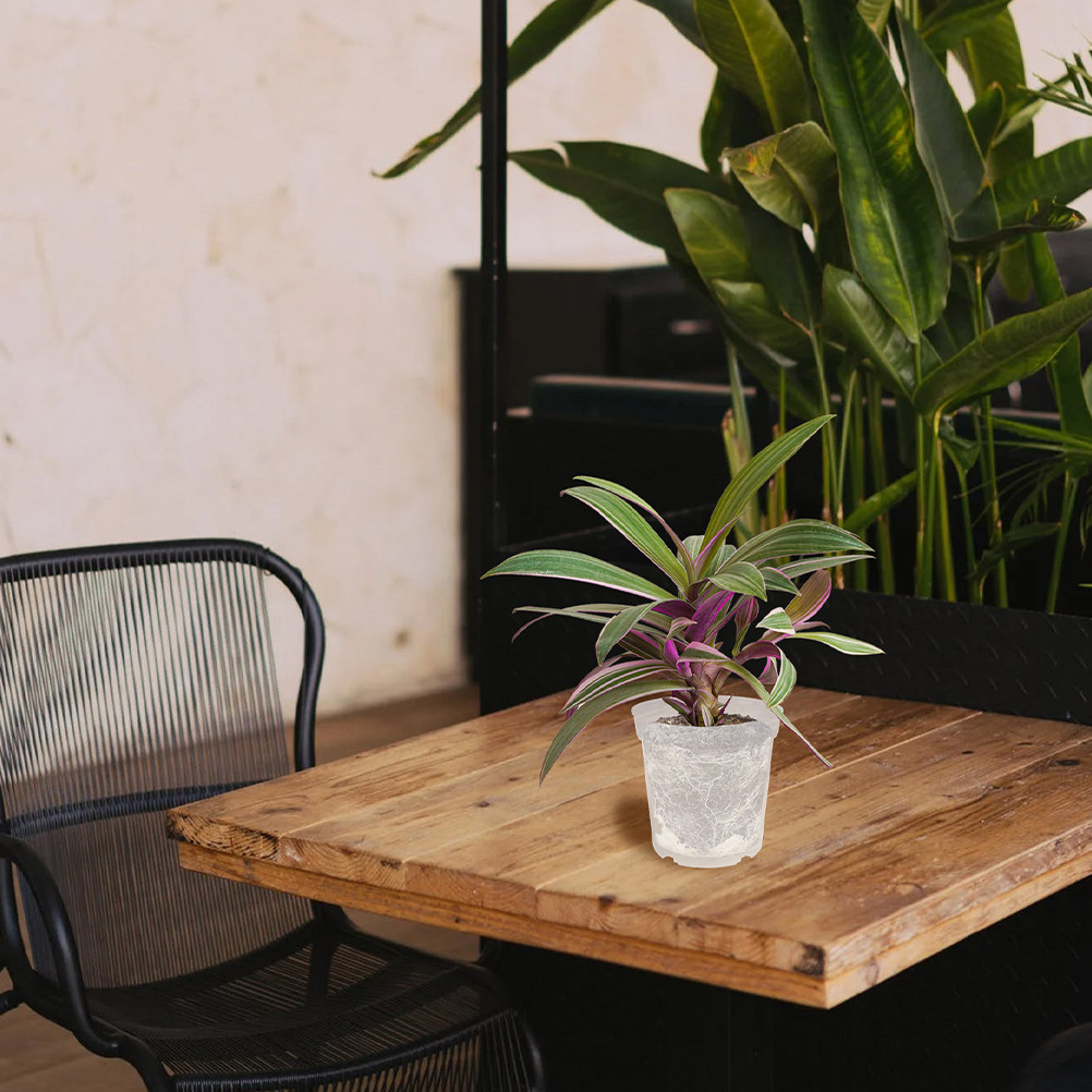 30 peças de vasos de plástico  - Bonsai Garden Nursery avaliação e preço