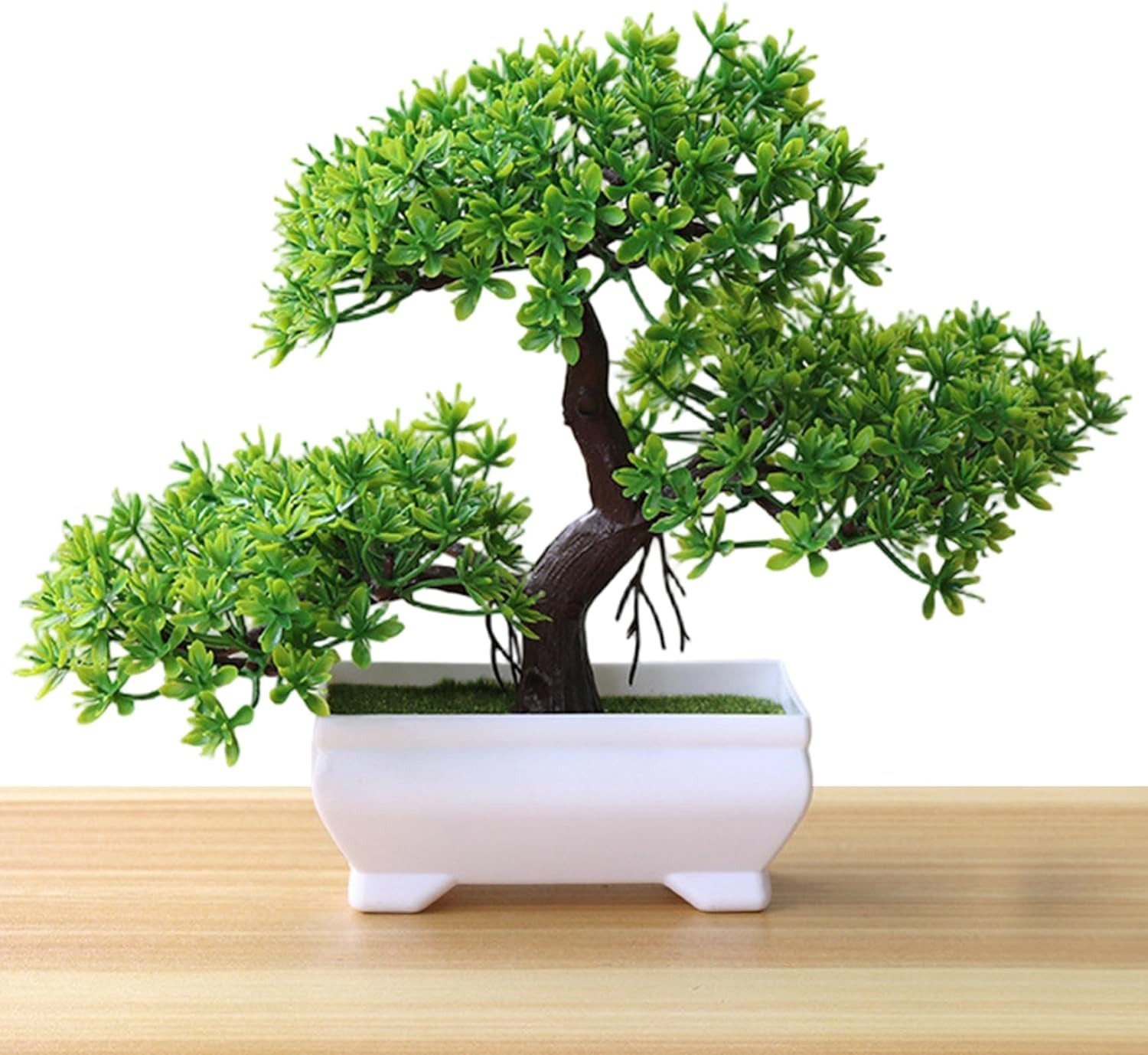 1/2 Peças de Árvore Bonsai Art - Bonsai Garden For Home avaliação e preço