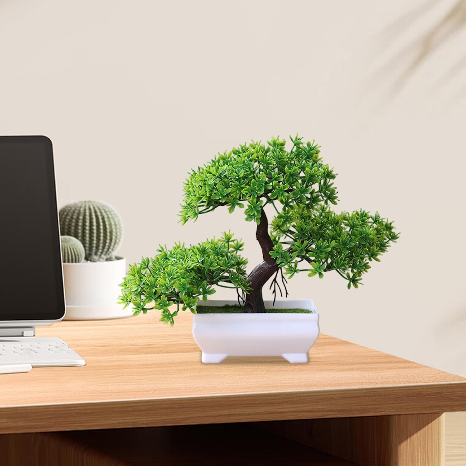 1/2 Peças de Árvore Bonsai Art - Bonsai Garden For Home avaliação e preço
